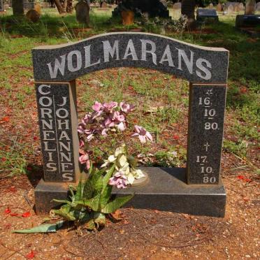 WOLMARANS Cornelis Johannes 1880-1980