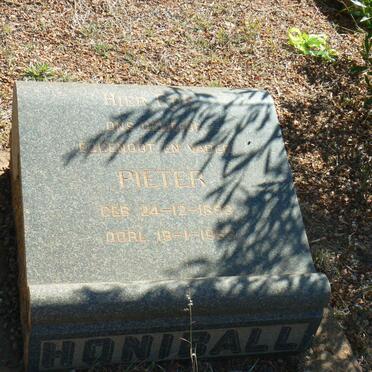 HONIBALL Pieter 1893-1953