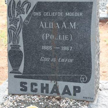 SCHAAP Alida A.M. 1886-1967