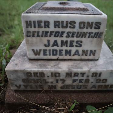 WEIDEMAN James 1931-1933