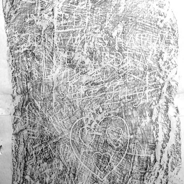 HATINGH D[r]iedrik Johannes 1850-? _2 