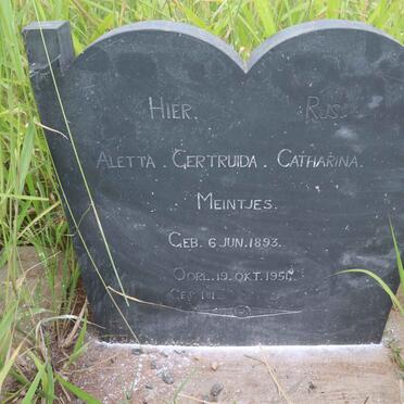 MEINTJES Aletta Gertruida Catharina 1893-1954