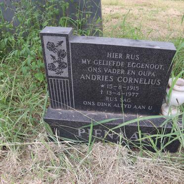 PIENAAR Andries Cornelius 1915-1977