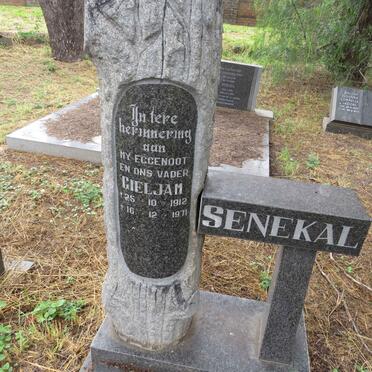 SENEKAL Gieljan 1912-1971