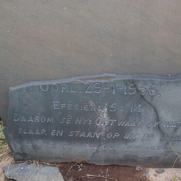 WESTHUIZEN A.S., van der nee LUBBE 1892-1956_2