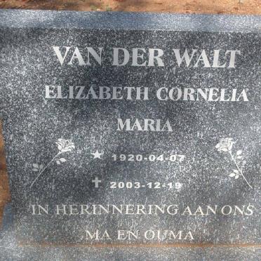 WALT Elizabeth Cornelia Maria, van der 1920-2003