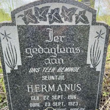 GROENEWALD Hermanus 1916-1923