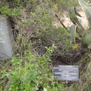 Limpopo, SESHEGO district, Rural area (farm cemeteries)