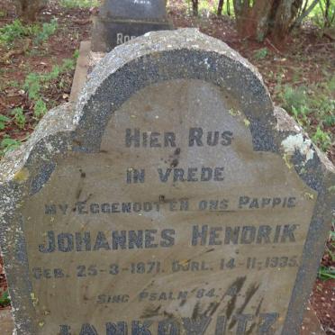JANKOWITZ Johannes Hendrik 1871-1935