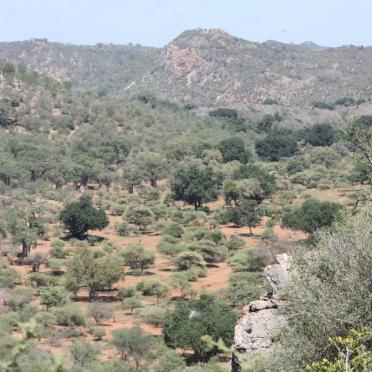 2. Overview of the area