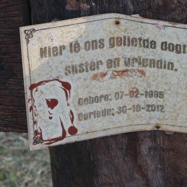 ERASMUS Sarah Elizabeth 1995-2012