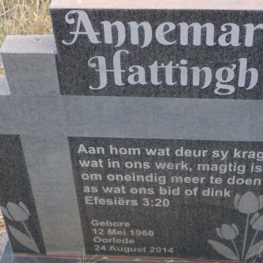 HATTINGH Annemarie 1960-2014