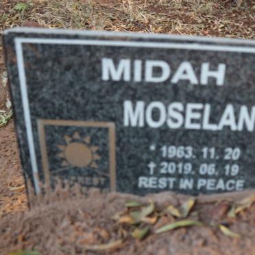 MOSELANE Midah 1963-2019