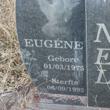 NEL Eugene 1975-1992