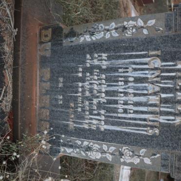 PLESSIS Pieter Ignatius, du 1925-2001