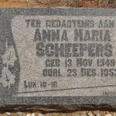 SCHEEPERS Anna Maria 1949-1953