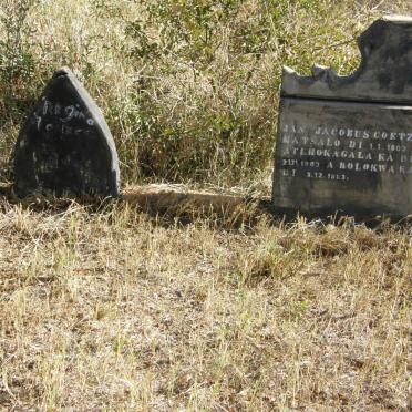 COETZEE Jan Jacobus 1903-1983 &amp; Regina 