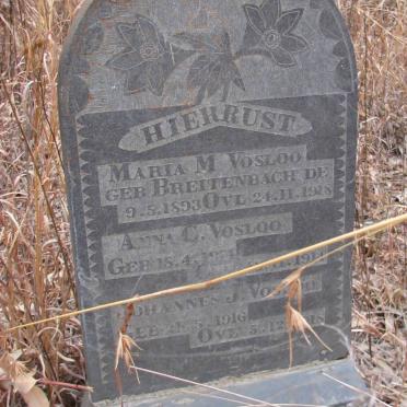 VOSLOO Maria M. nee BREITENBACH 1893-1928 :: VOSLOO Johannes J. 1916-1918 :: VOSLOO Anna C. -1914