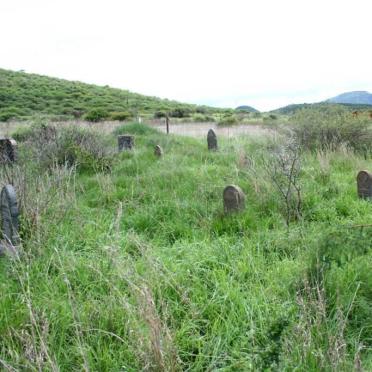1. Cemetery Overview