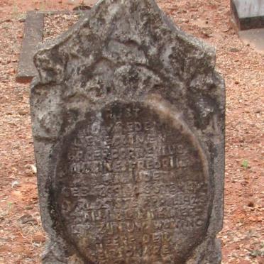NAUDE Cornelius Johannes Frederik