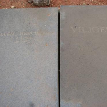 VILJOEN Willem Herculaas 1905-1956