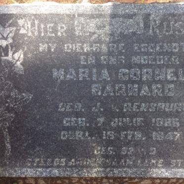 Limpopo, WATERBERG district, Mabatlane, Mount Hope 151, farm cemetery