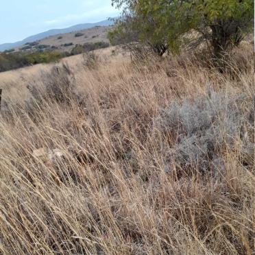 4. Overview of area / Oorsig van graf area