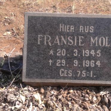 MOLL Fransie 1945-1964