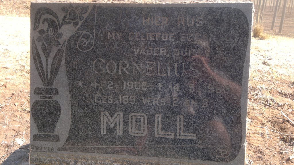 MOLL Cornelius 1905-1969