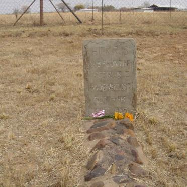 BADENHORST Petrus Johannes 1936-1938