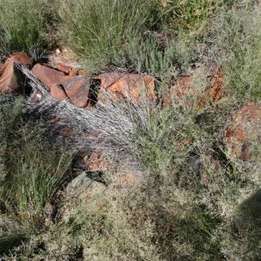 Limpopo, WATERBERG district, Mabatlane, Niekerkshoop, farm cemetery