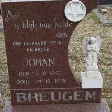 BREUGEM Johan 1967-1978