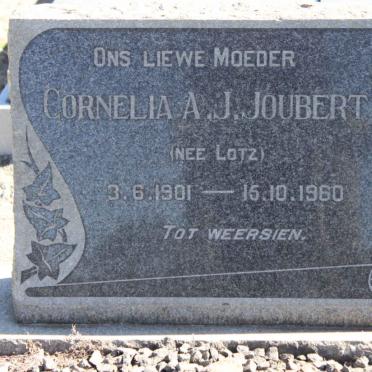 JOUBERT Cornelia A.J. nee LOTZ 1901-1960