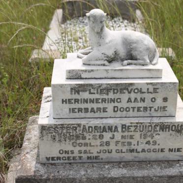 BEZUIDENHOUT Hester Adriana 1946-1949