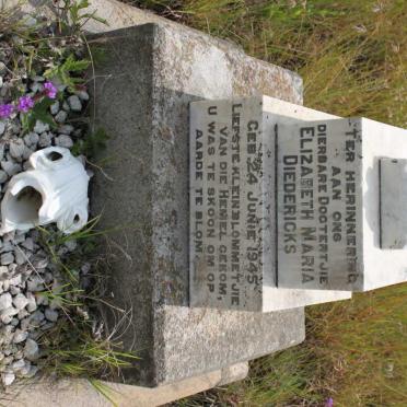 DIEDERICKS Elizabeth Maria 1945-