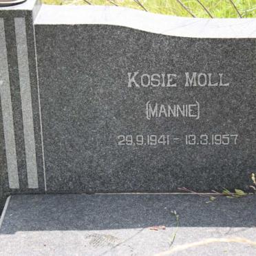 MOLL Kosie 1941-1957