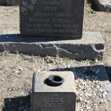 ZIERVOGEL Johanna Adriana Reynecke 1946-1954