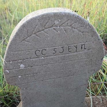 STEYN C.C.