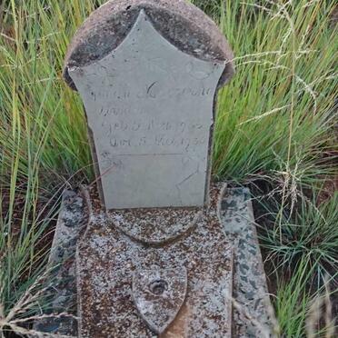 STRIJDOM Dinah Magrietha 1936-1936