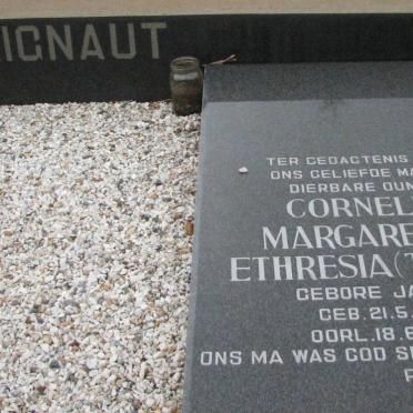 BLIGNAUT Johannes Hendrik 1928-1970 &amp; Cornelia Margaretha Ethresia JACOBS 1928-2007