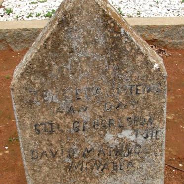 NIENABER David Mathys
