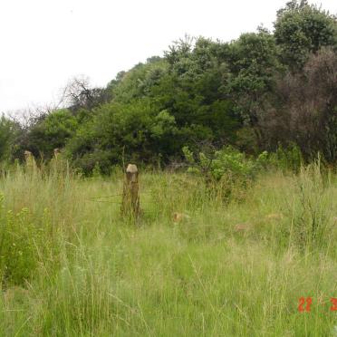 1. Overview