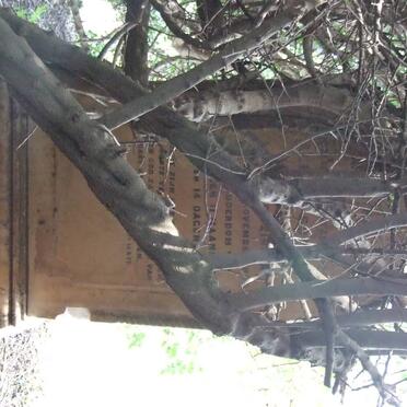 BOSHOFF Aletta Sophia nee KRITZINGER -1893