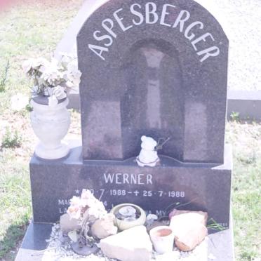 ASPESBERGER Werner 1988-1988