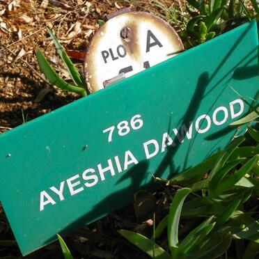 DAWOOD Ayeshia