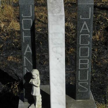 HESKES Johannes Jacobus 1946-1988