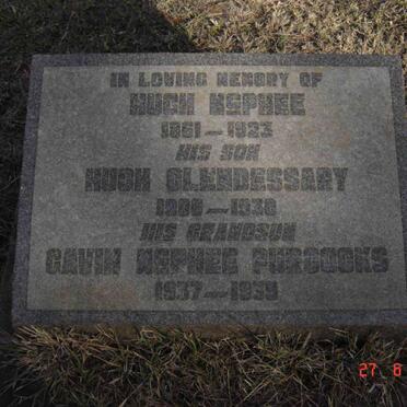 McPHEE Hugh 1861-1923 :: GLENDESSARY Hugh 1906-1938 :: PURCOCKS Gavin McPhee 1937-1939