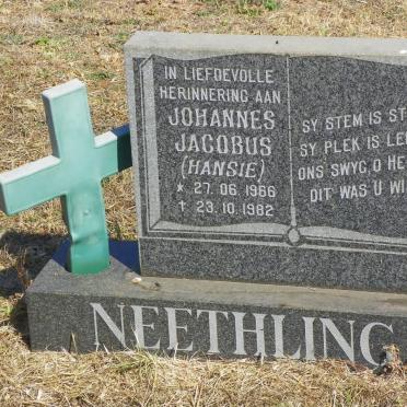 NEETHLING Johannes Jacobus 1966-1982