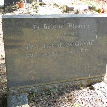SCORGIE Ivy Irene 1885-1962