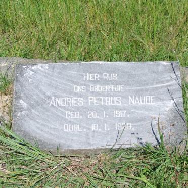 NAUDE Andries Petrus 1917-1929
